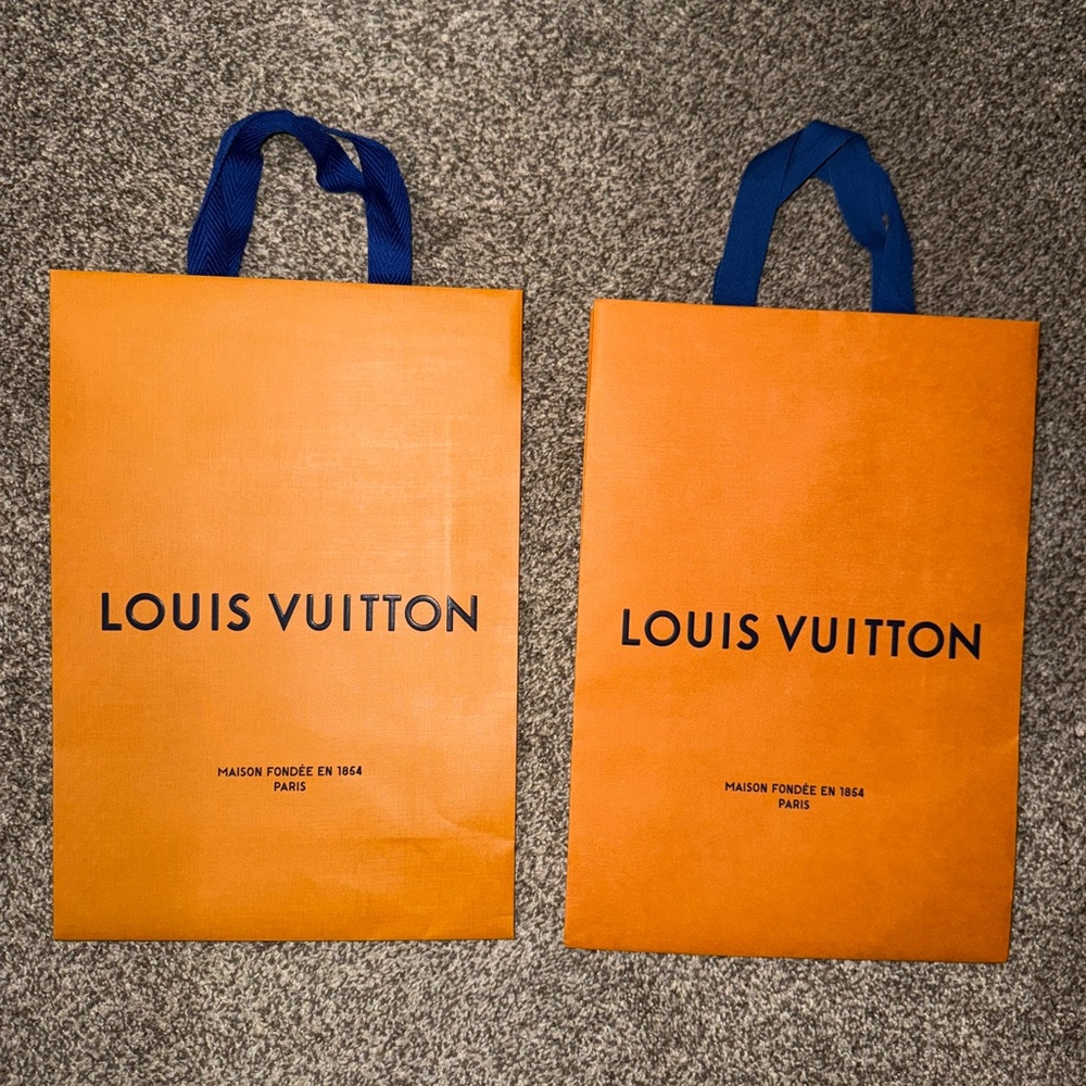 Louis Vuitton shopping bags (2)